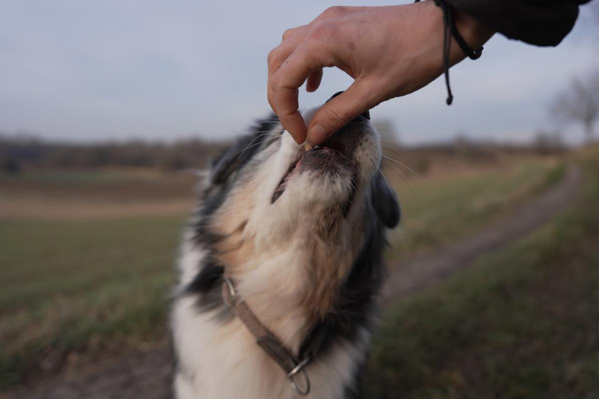 Körpersprache lesen & verstehen