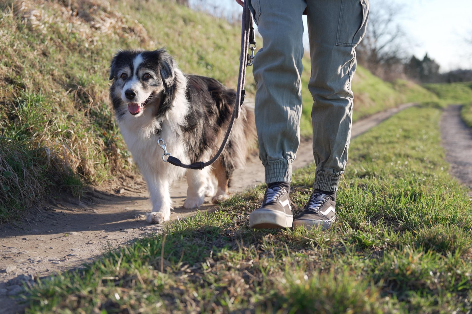 Entspannter Spaziergang